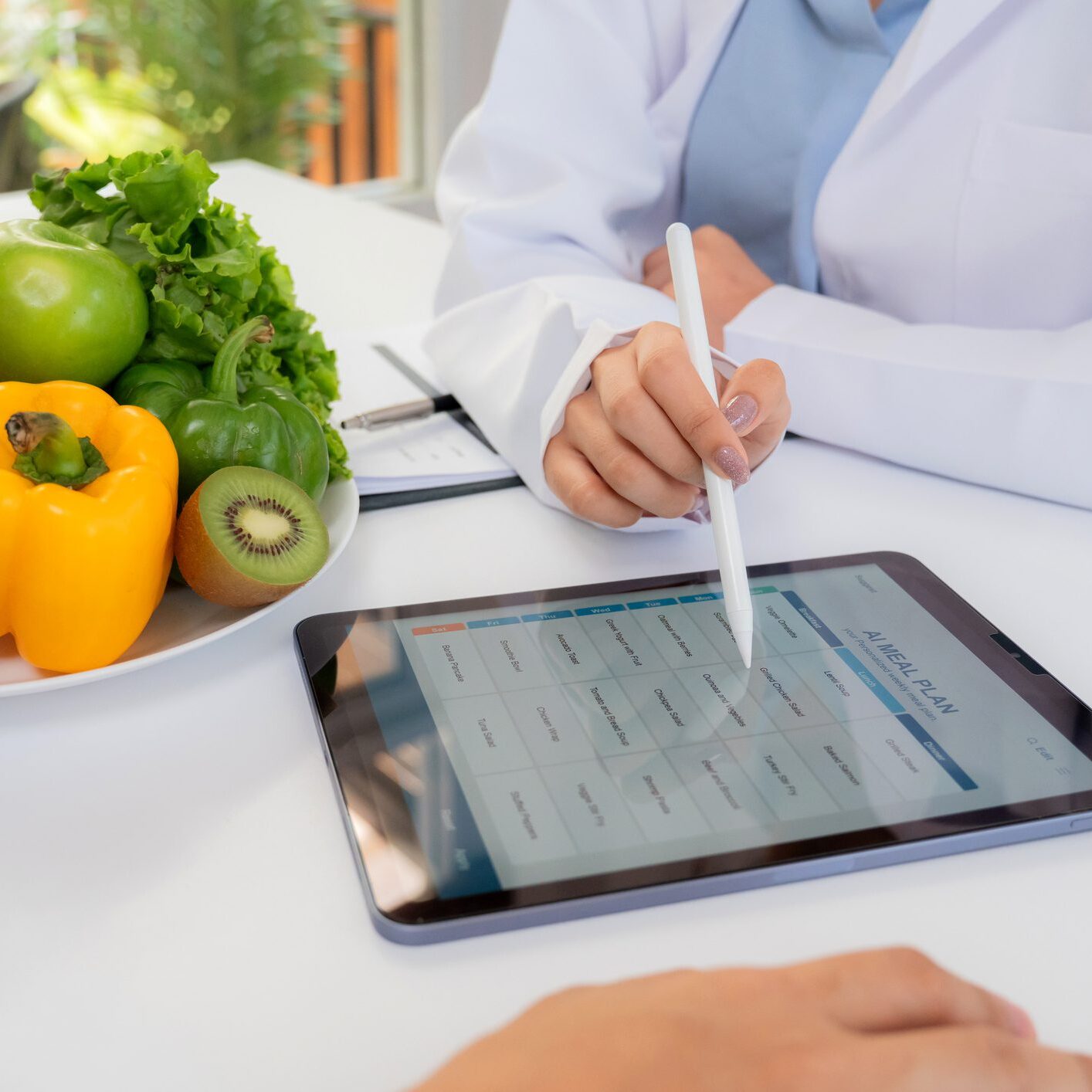 Doctor discussing diet plan with patient